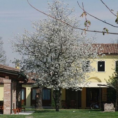 Particolari Del Brenta Apartment Oriago Di Mira Exterior photo
